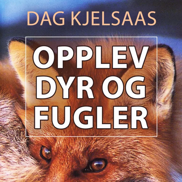 Omslag Opplev dyr og fugler av Dag Kjelsaas (Nedlastbar lydbok)