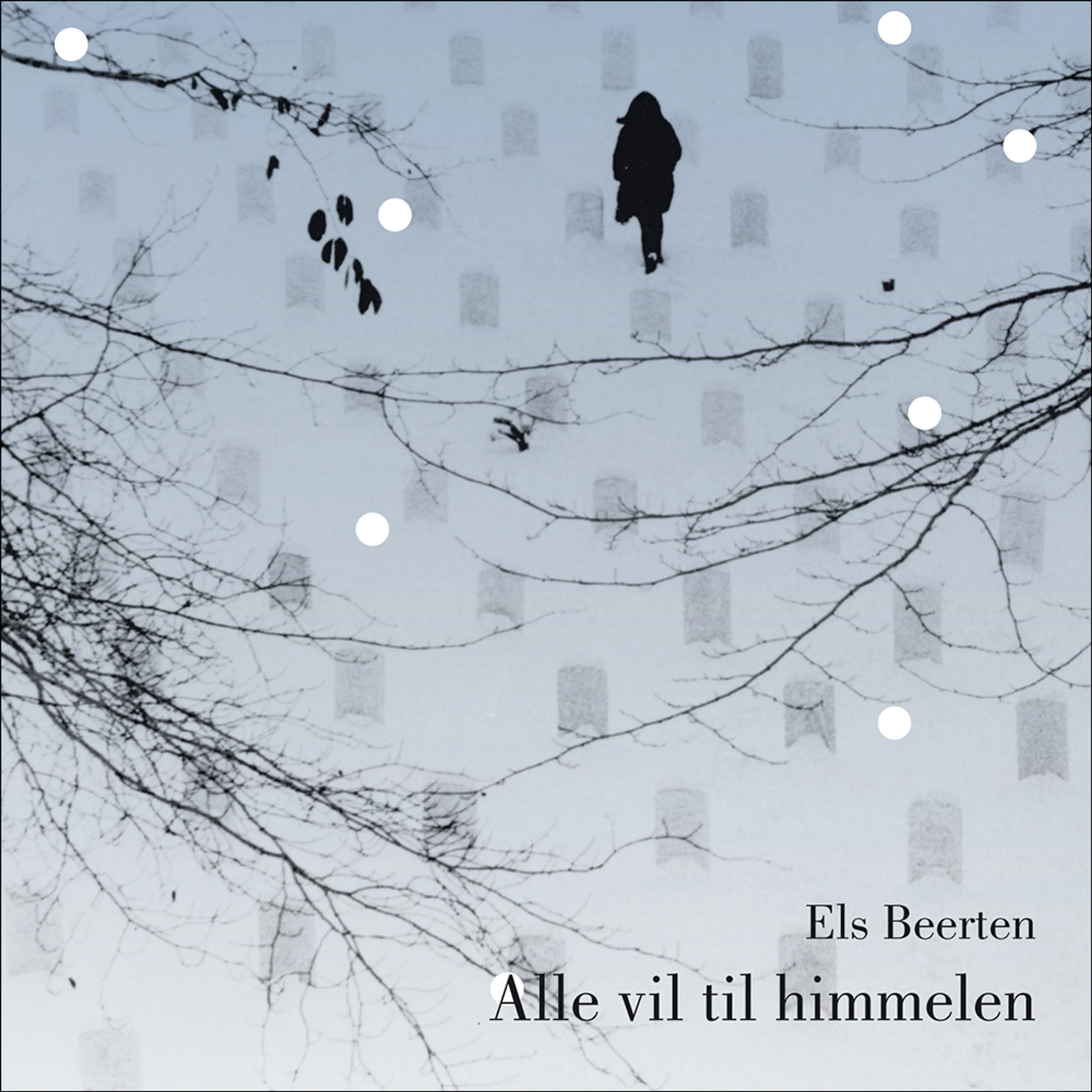 Omslag Alle vil til himmelen av Els Beerten (Lydbok)