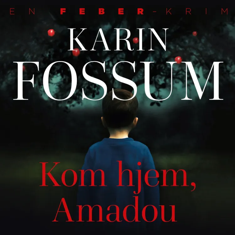 Omslag Kom hjem, Amadou av Karin Fossum (Lydbok)