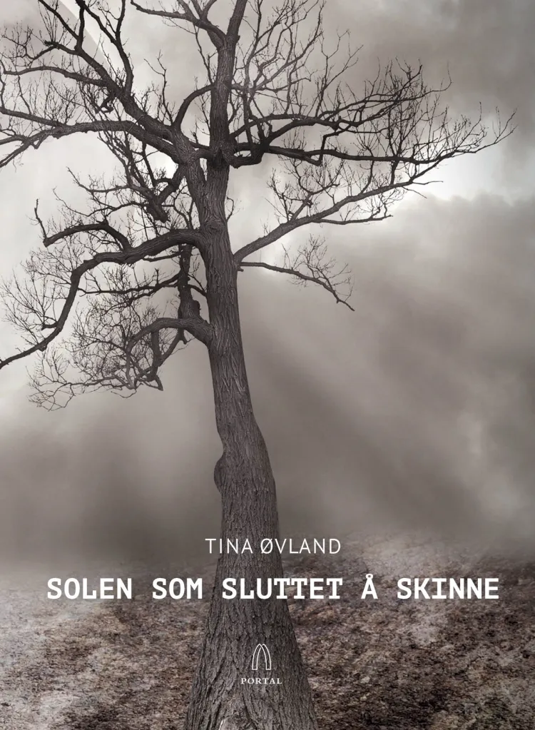 Omslag Solen som sluttet å skinne av Tina Øvland (Heftet)