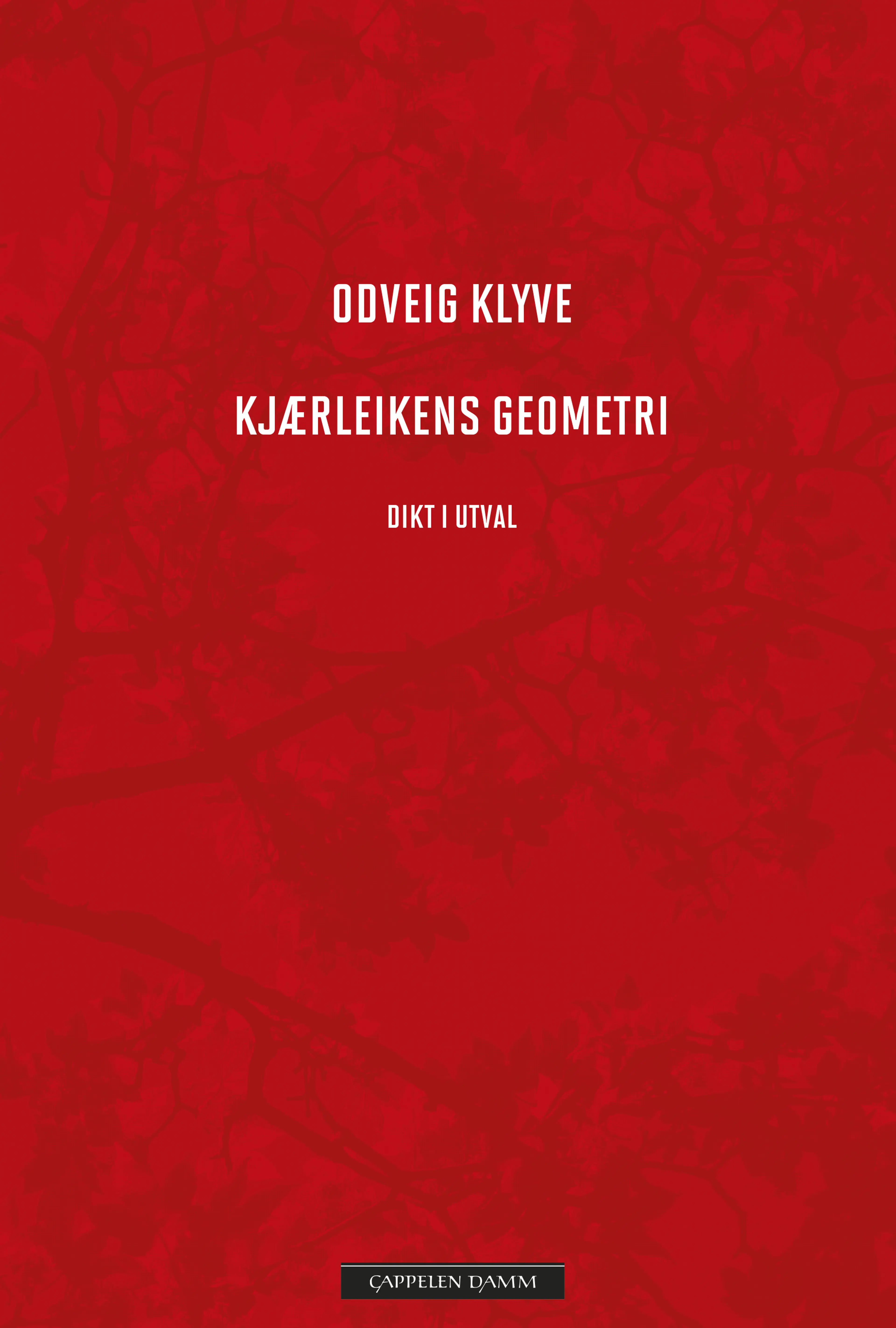 Omslag Kjærleikens geometri av Odveig Klyve (Innbundet)