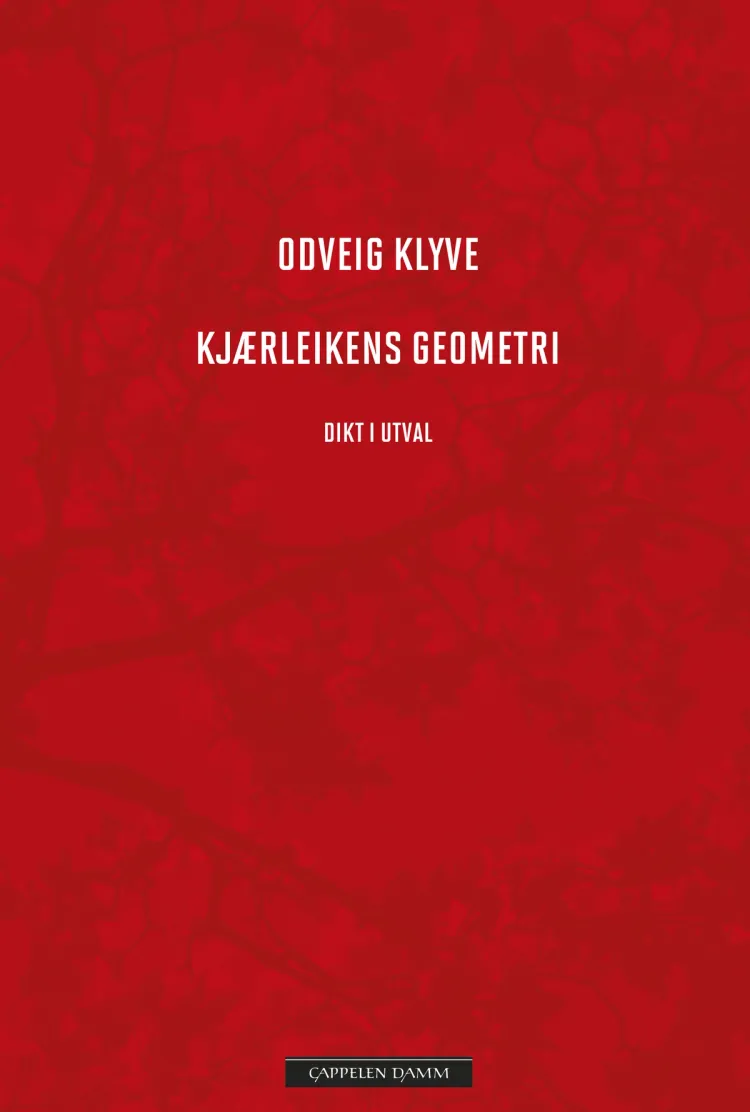 Omslag Kjærleikens geometri av Odveig Klyve (Innbundet)