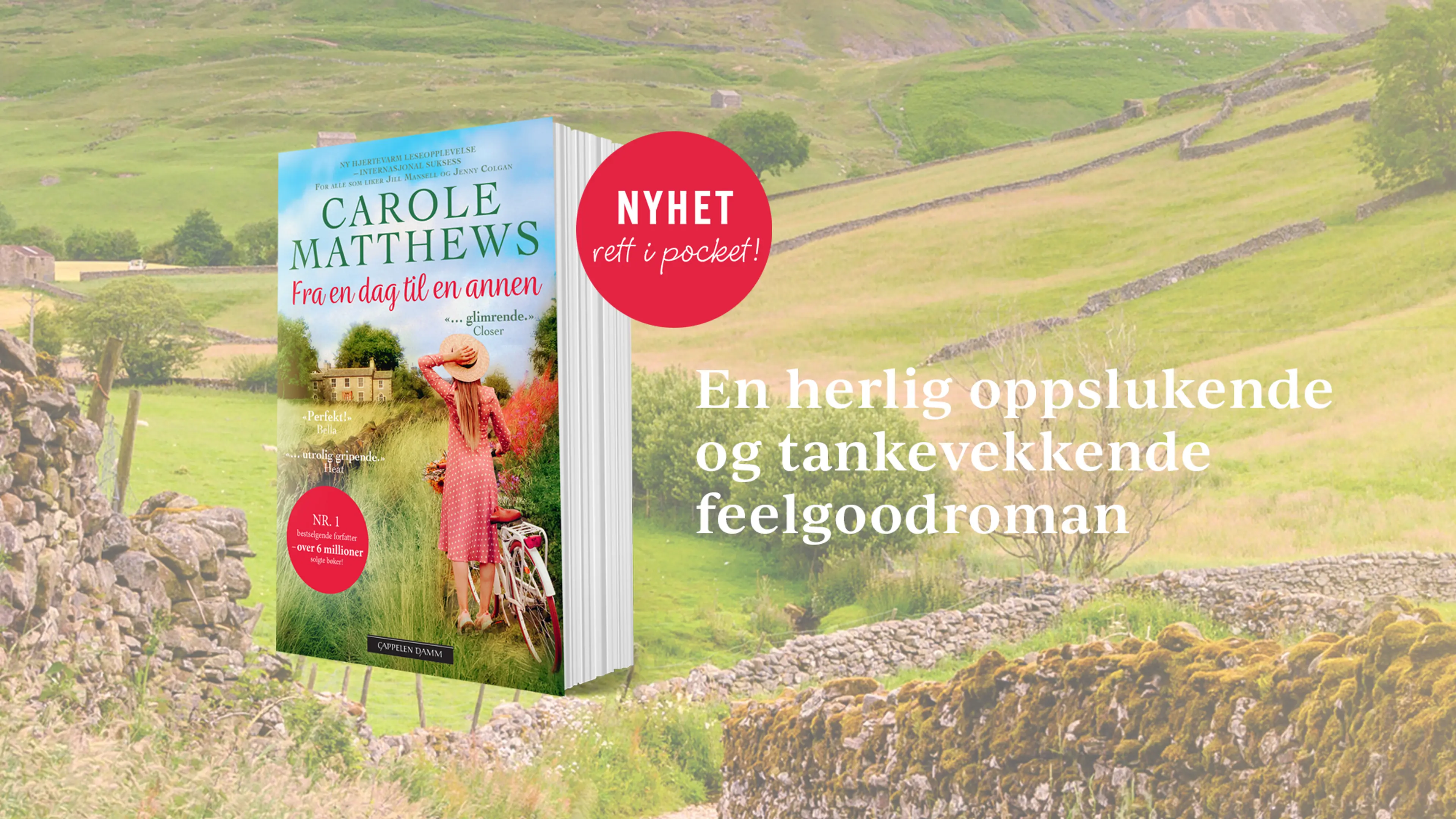 Boken Fra en dag til en annen med et bilde av jorder og steinmur som bakgrunn