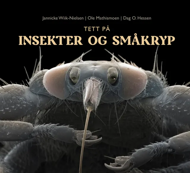 Omslag Tett på insekter og småkryp av Jannicke Wiik-Nielsen, Dag O. Hessen og Ole Mathismoen (Innbundet)
