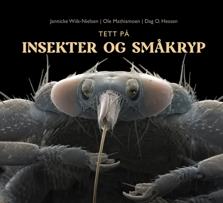 Omslag Tett på insekter og småkryp av Jannicke Wiik-Nielsen, Dag O. Hessen og Ole Mathismoen (Innbundet)