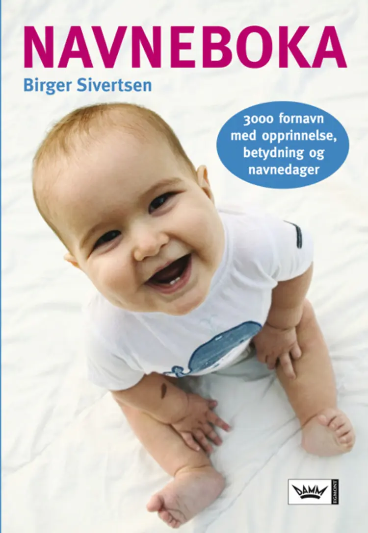 Omslag Navneboka av Birger Sivertsen (Heftet)