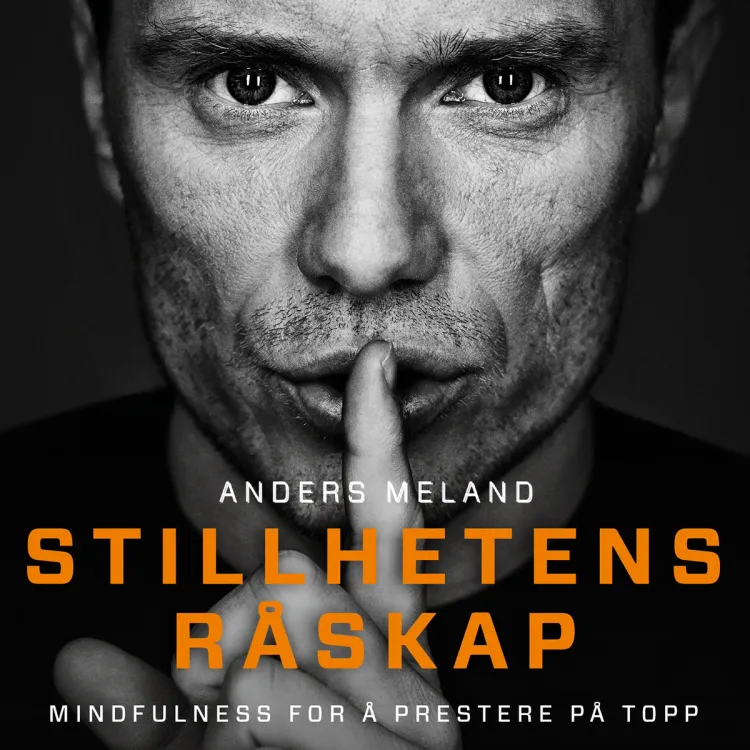 Omslag Stillhetens råskap - Mindfulness for å prestere på topp av Anders Meland (Lydbok)
