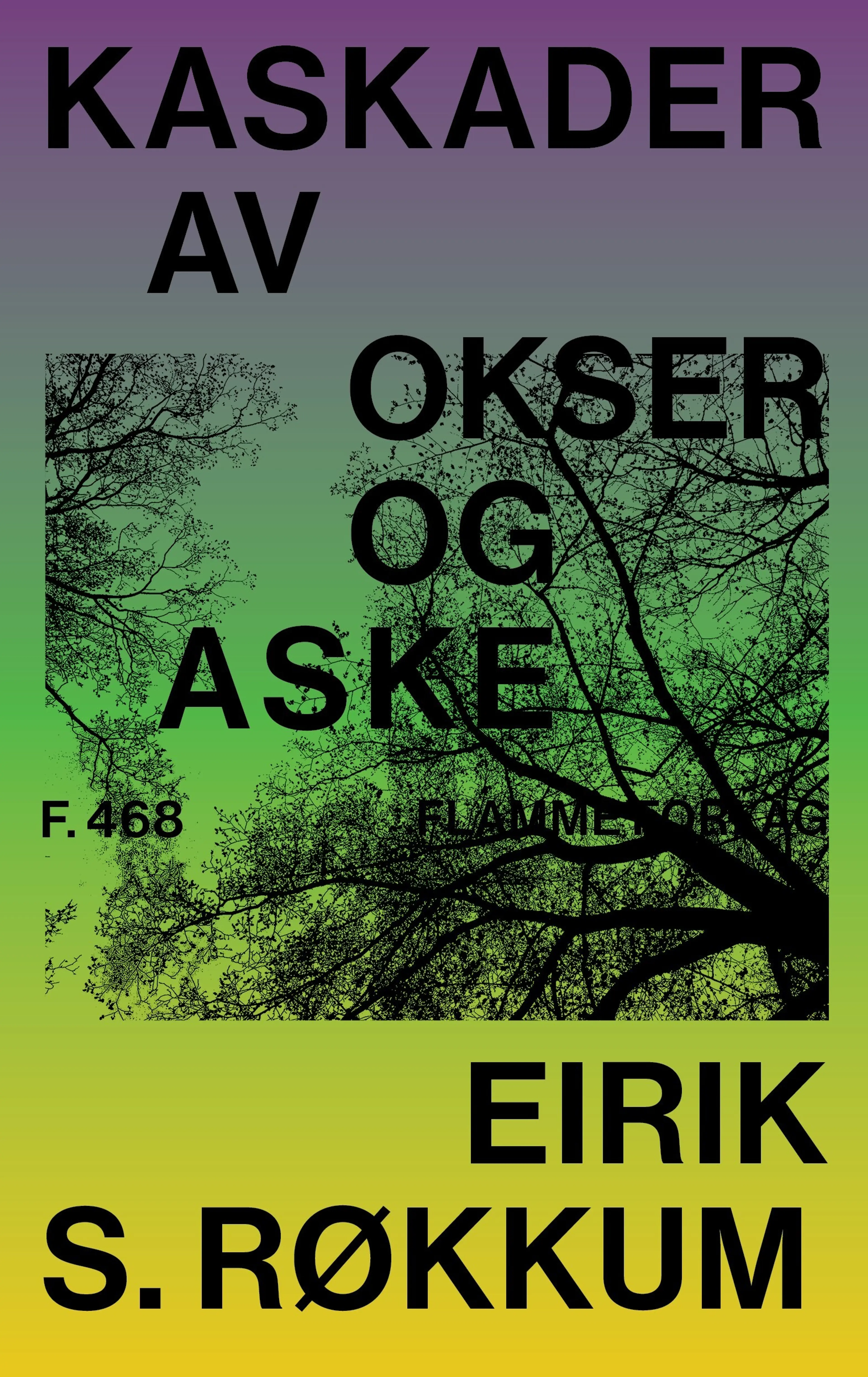 Omslag Kaskader av okser og aske av Eirik S. Røkkum (Innbundet)