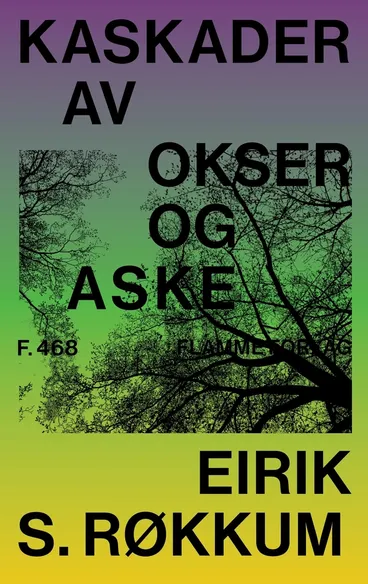 Omslag Kaskader av okser og aske av Eirik S. Røkkum (Innbundet)