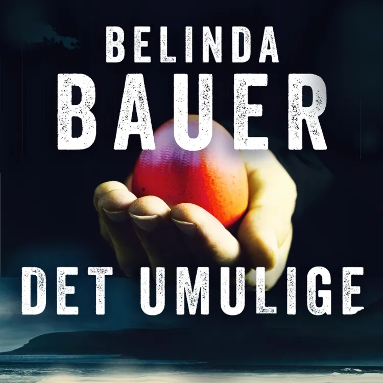 Omslag Det umulige av Belinda Bauer (Lydbok)