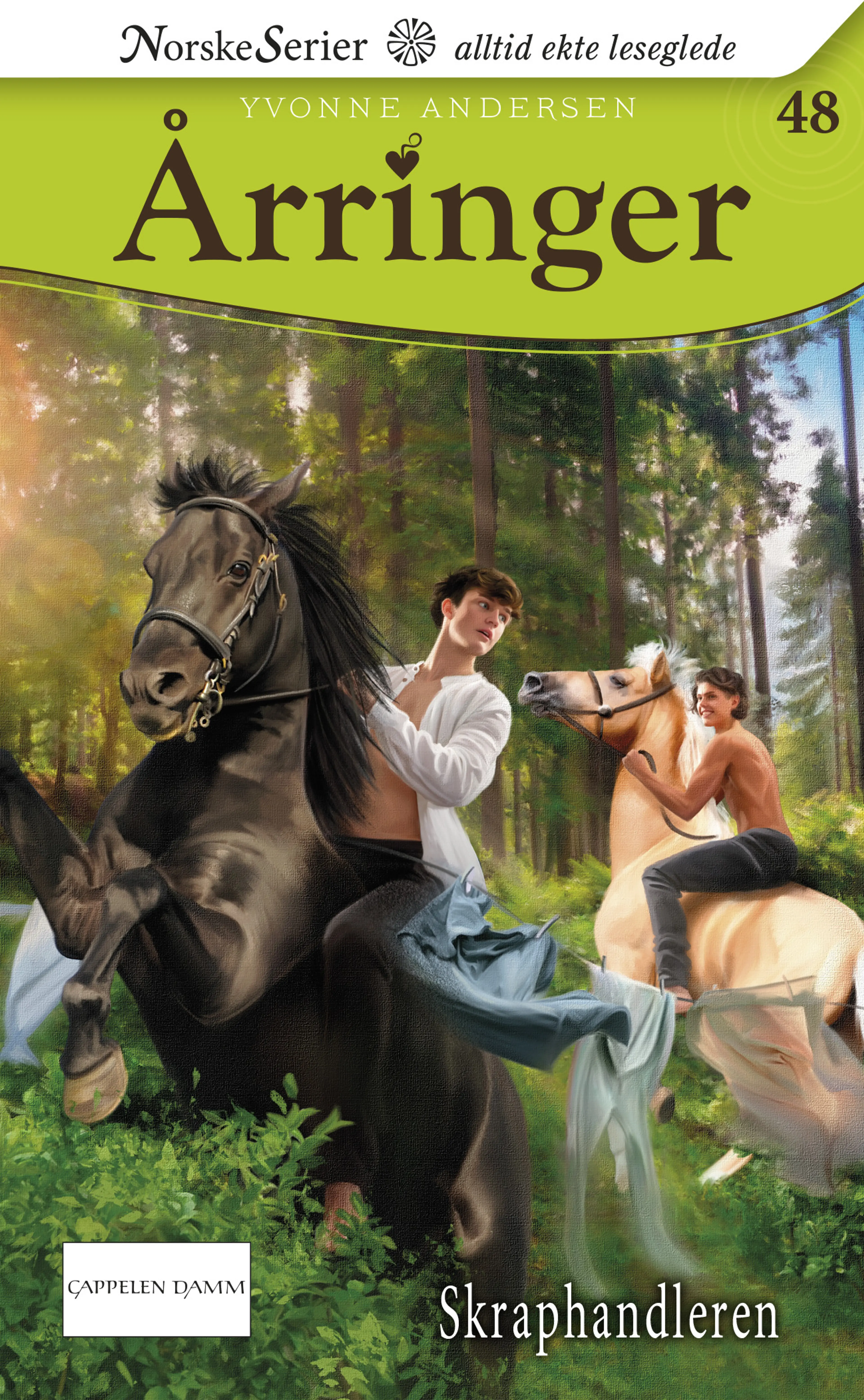 Omslag Skraphandleren av Yvonne Andersen (Ebok)