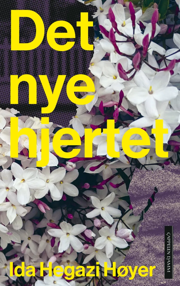 Omslag Det nye hjertet av Ida Hegazi Høyer (Ebok)