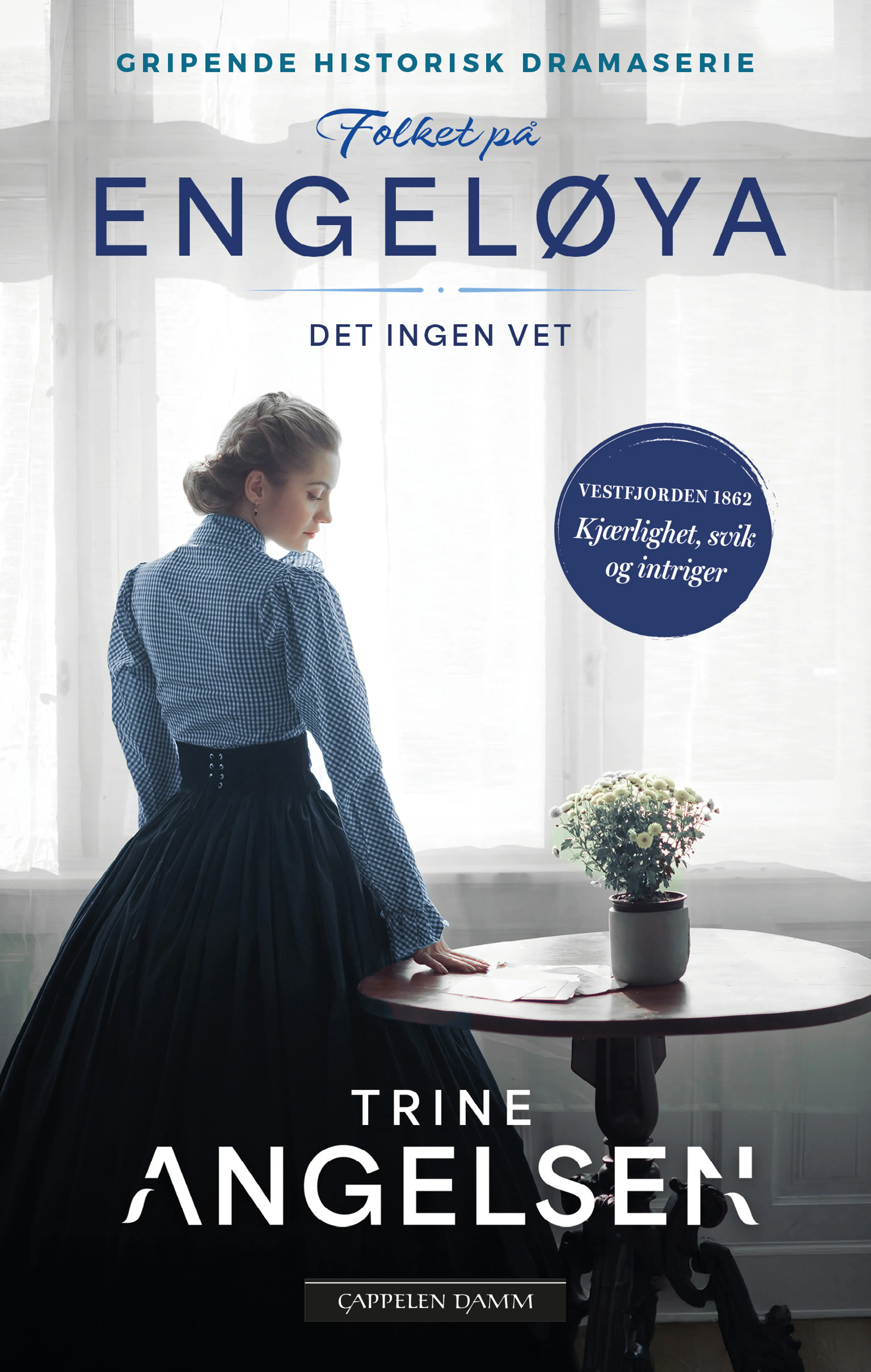 Omslag Det ingen vet av Trine Angelsen (Heftet)
