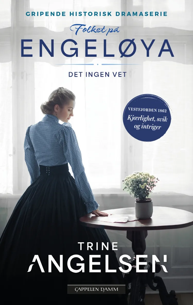 Omslag Det ingen vet av Trine Angelsen (Heftet)