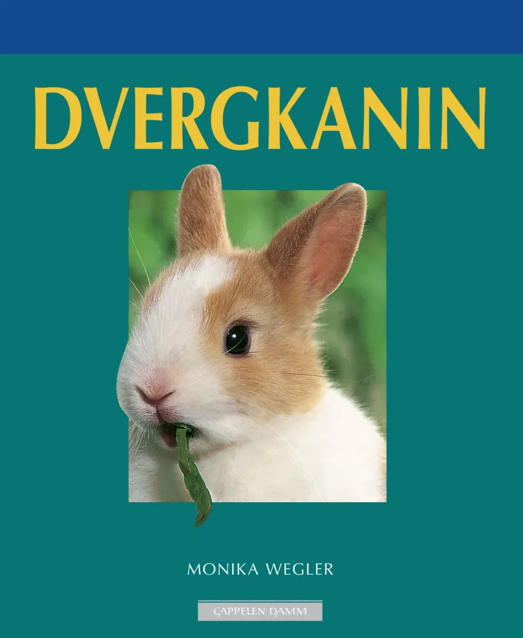 Omslag Dvergkanin av Monika Wegler (Heftet)
