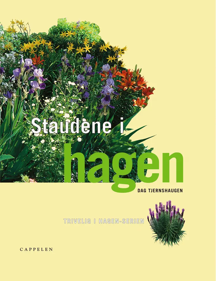 Omslag Staudene i hagen av Dag Tjernshaugen (Innbundet)