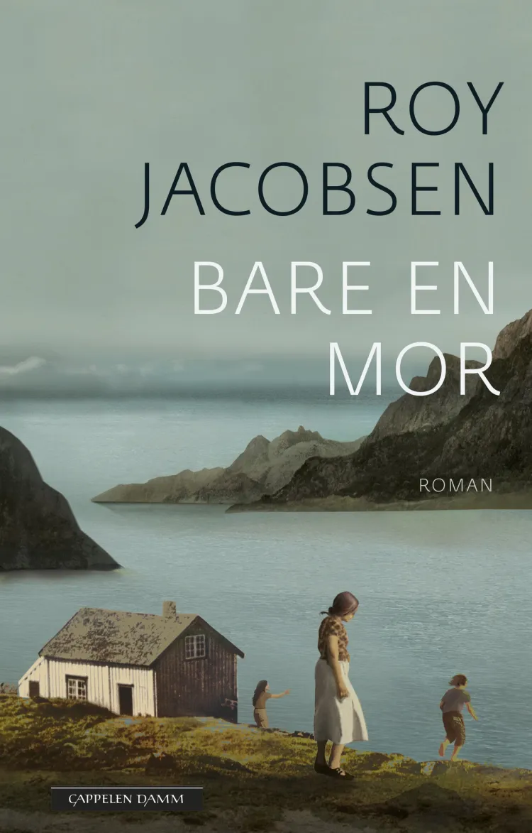 Omslag Bare en mor av Roy Jacobsen (Ebok)