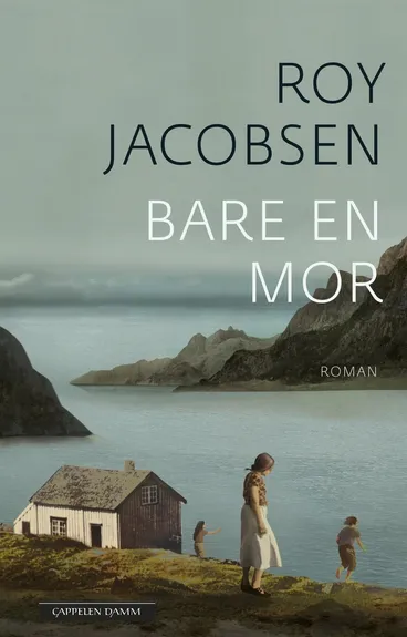 Omslag Bare en mor av Roy Jacobsen (Innbundet)
