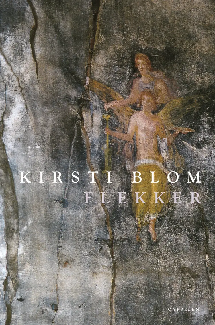 Omslag Flekker av Kirsti Blom (Innbundet)