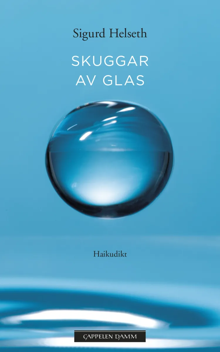 Omslag Skuggar av glas av Sigurd Helseth (Ebok)