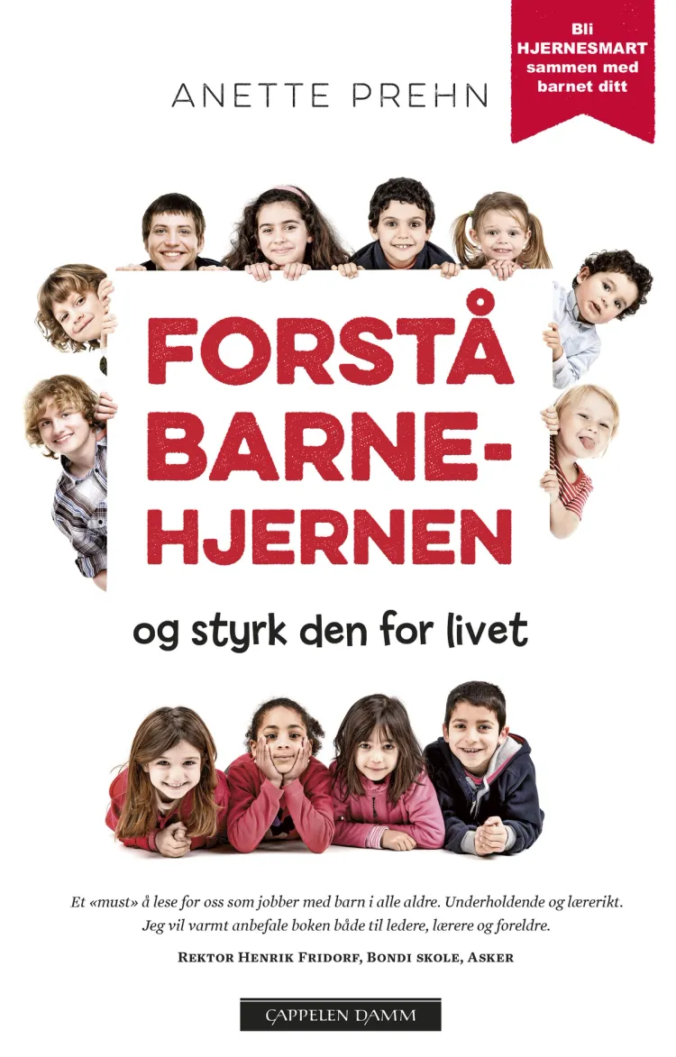 Omslag Forstå barnehjernen av Anette Prehn (Heftet)