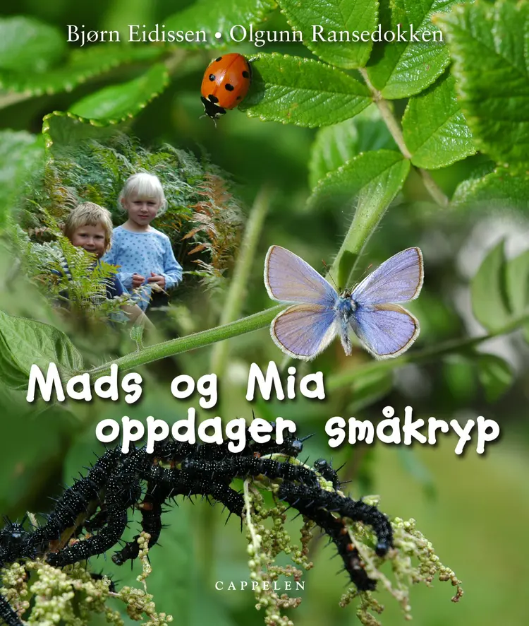 Omslag Mads og Mia oppdager småkryp av Bjørn Eidissen og Olgunn Ransedokken (Innbundet)