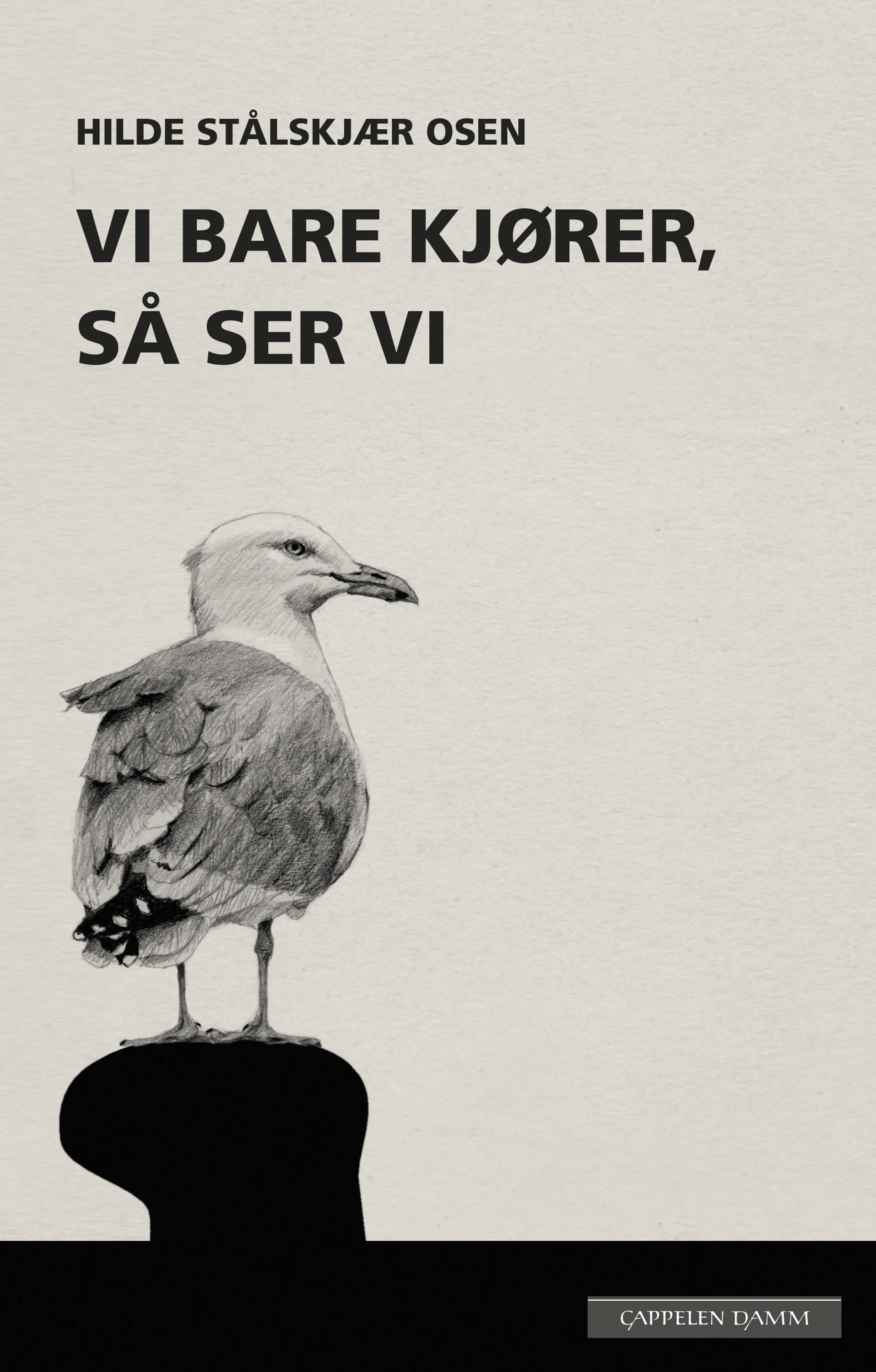 Omslag Vi bare kjører, så ser vi av Hilde Stålskjær Osen (Innbundet)