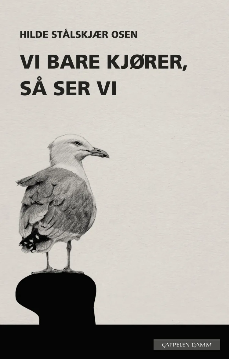 Omslag Vi bare kjører, så ser vi av Hilde Stålskjær Osen (Innbundet)
