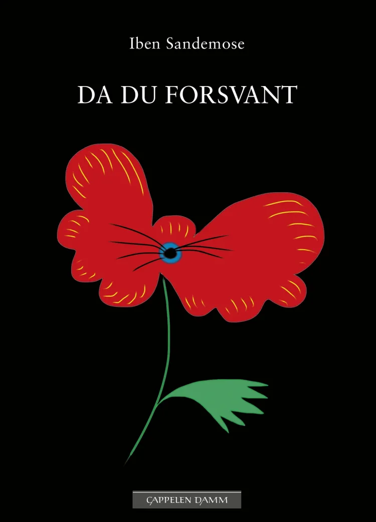 Omslag Da du forsvant av Iben Sandemose (Ebok)
