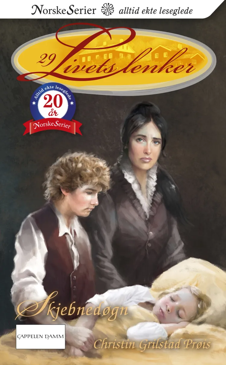 Omslag Skjebnedøgn av Christin Grilstad Prøis (Ebok)