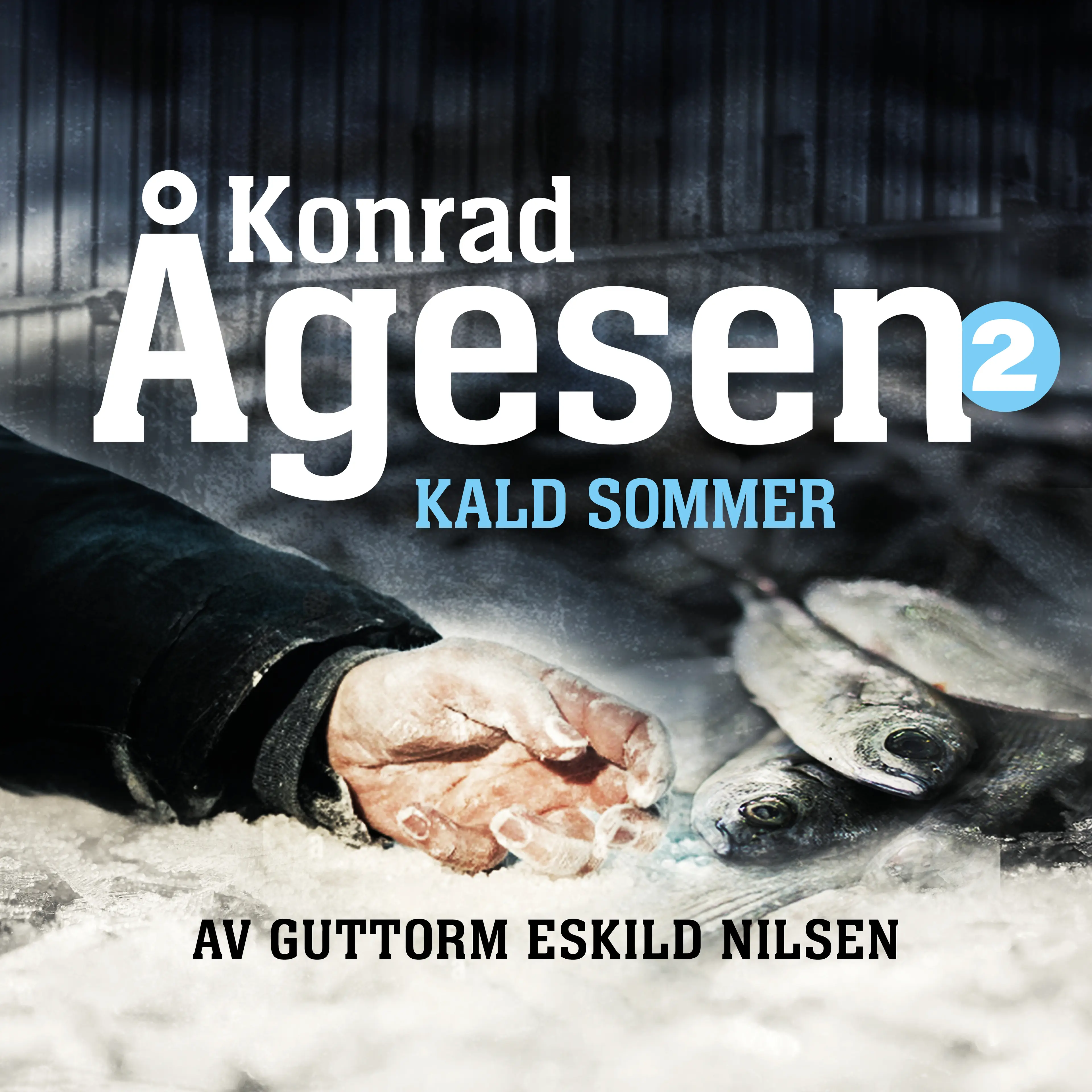 Omslag Kald sommer av Guttorm Eskild Nilsen (Lydbok)
