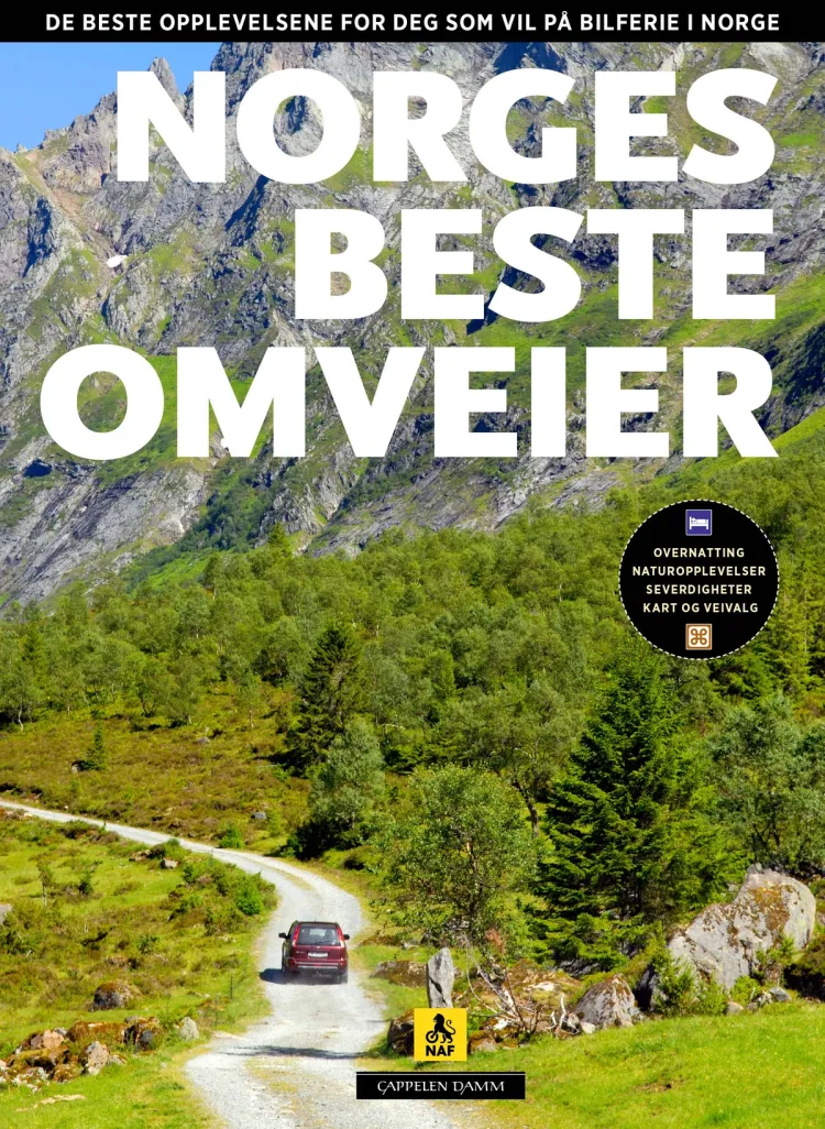 Omslag Norges beste omveier av Per Roger Lauritzen og Reidar Stangenes (Innbundet)