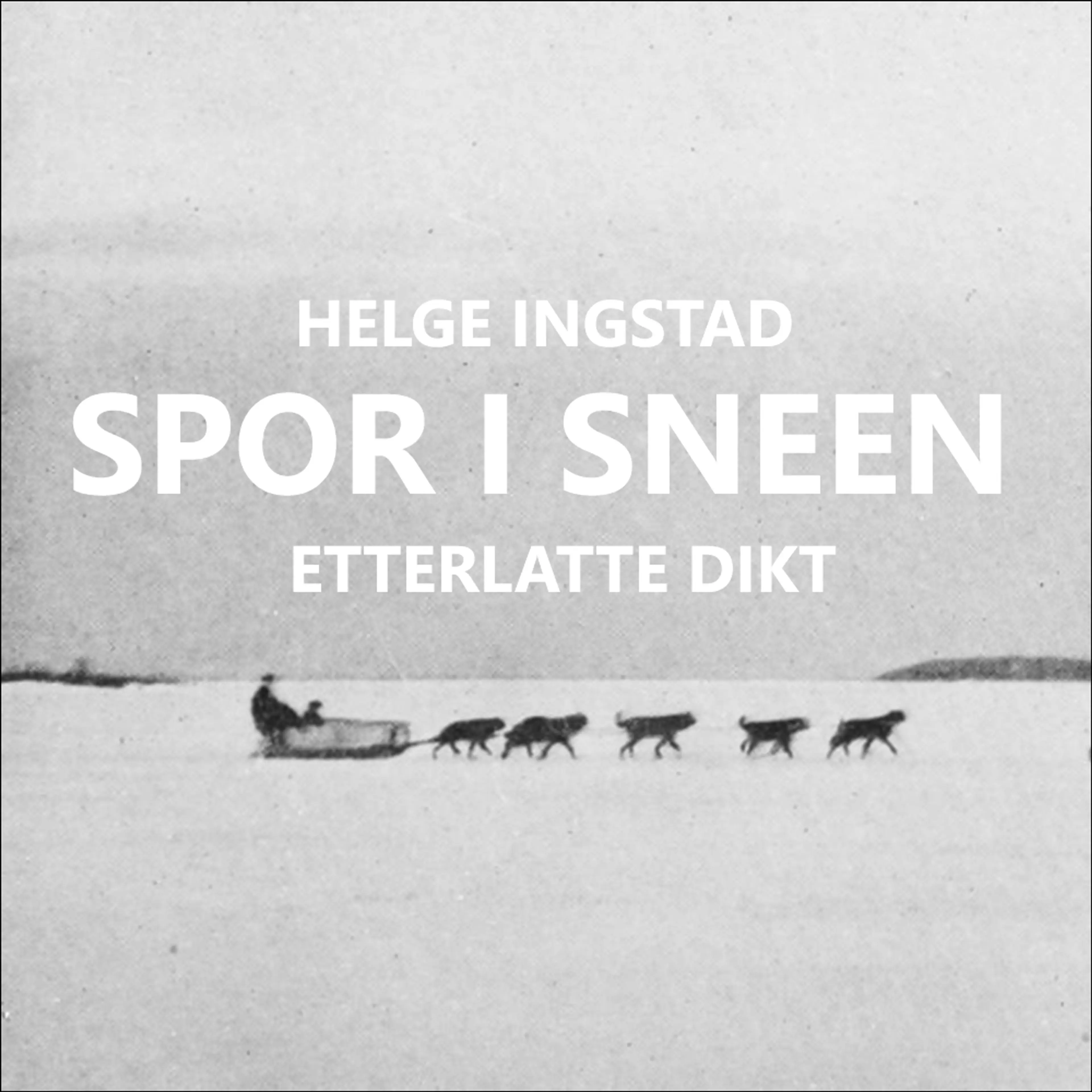 Omslag Spor i sneen av Helge Ingstad (Lydbok)