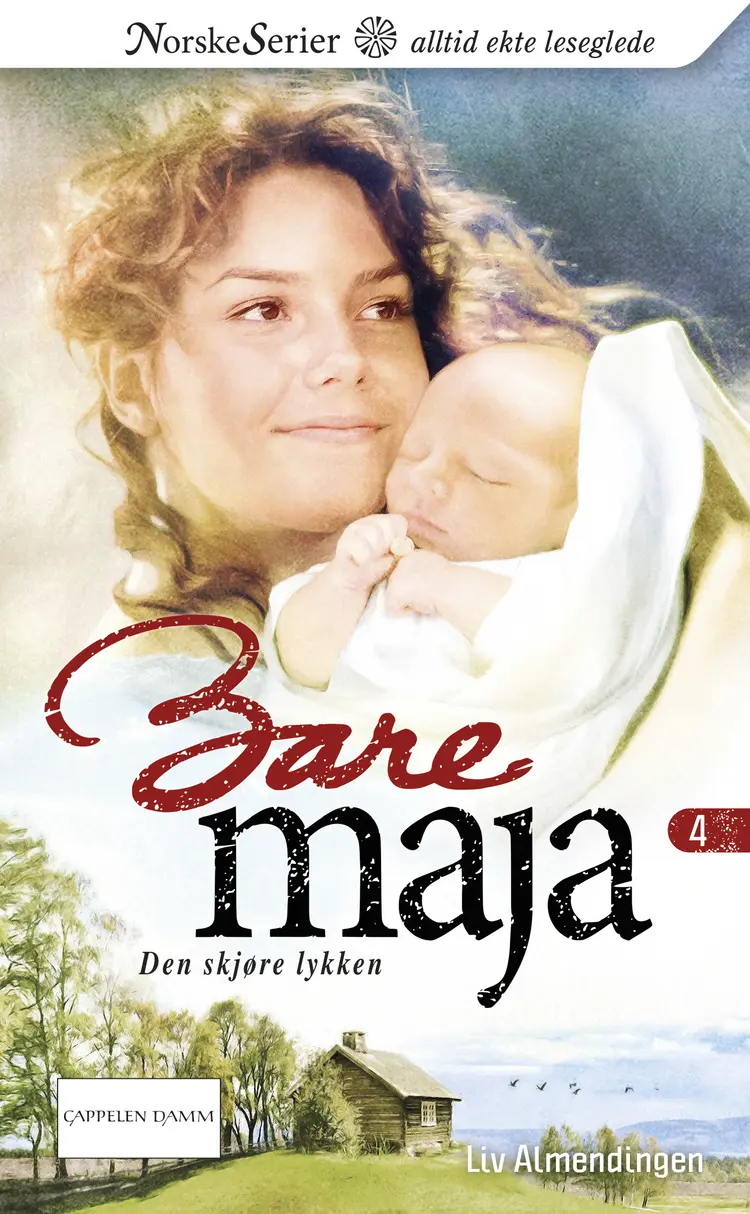 Omslag Den skjøre lykken av Liv Almendingen (Ebok)