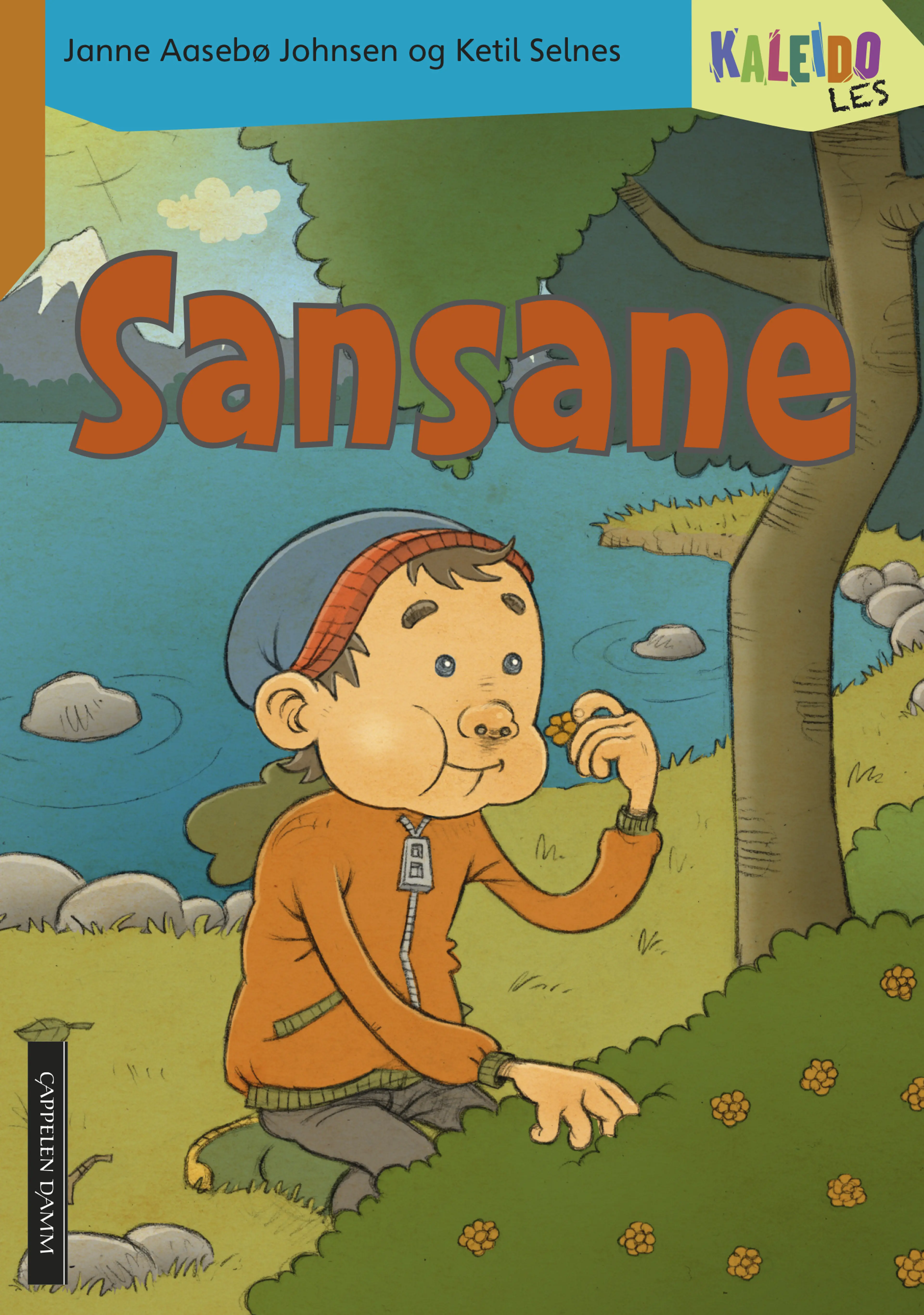 Omslag Kaleido Les Nivå 2 Sansane av Janne Aasebø Johnsen (Heftet)