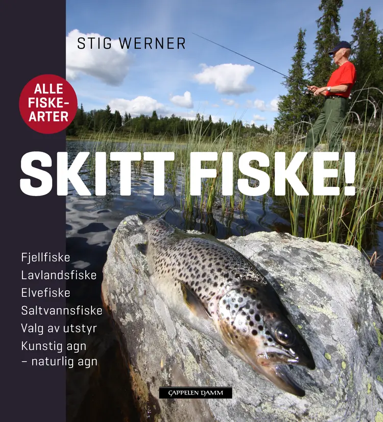 Omslag Skitt fiske! av Stig Werner (Innbundet)