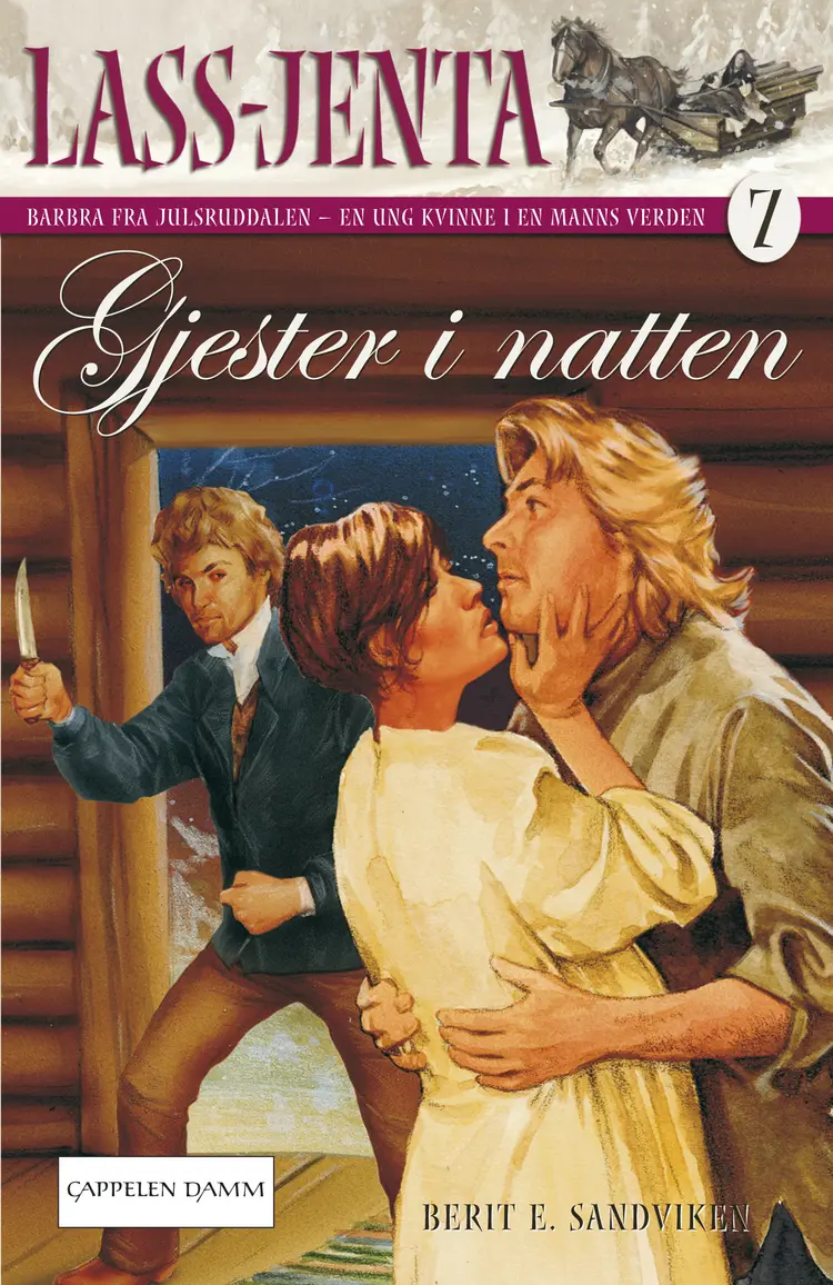 Omslag Gjester i natten av Berit Sandviken (Ebok)