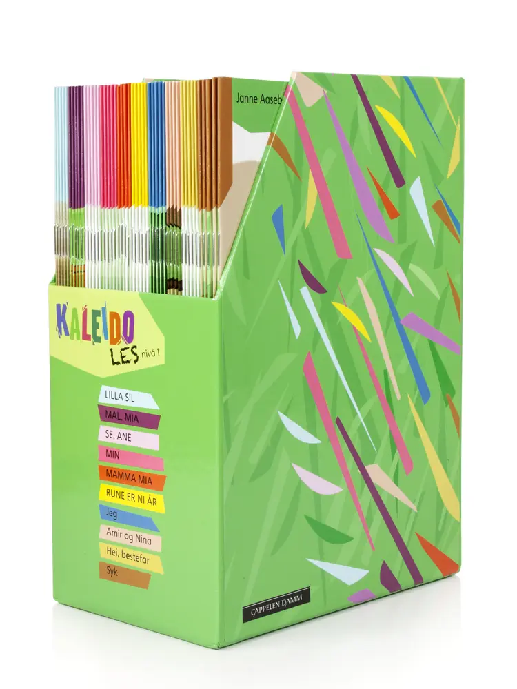 Omslag Kaleido Les Nivå 1 (boks) av Torill Andersen og Janne Aasebø Johnsen (Eske)