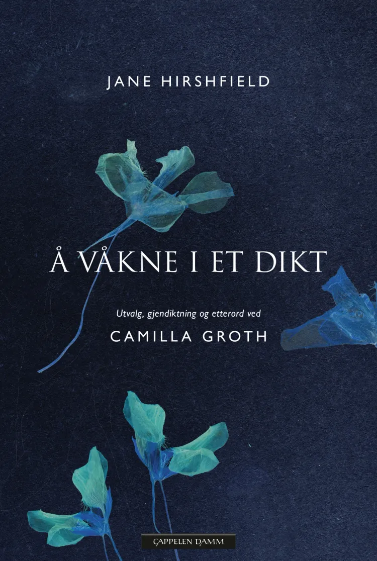 Omslag Å våkne i et dikt av Jane Hirshfield (Innbundet)