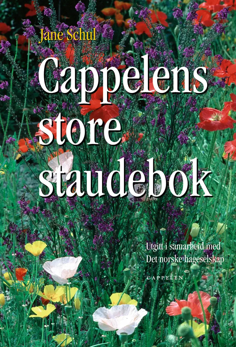 Omslag Cappelens store staudebok av Jane Schul (Innbundet)