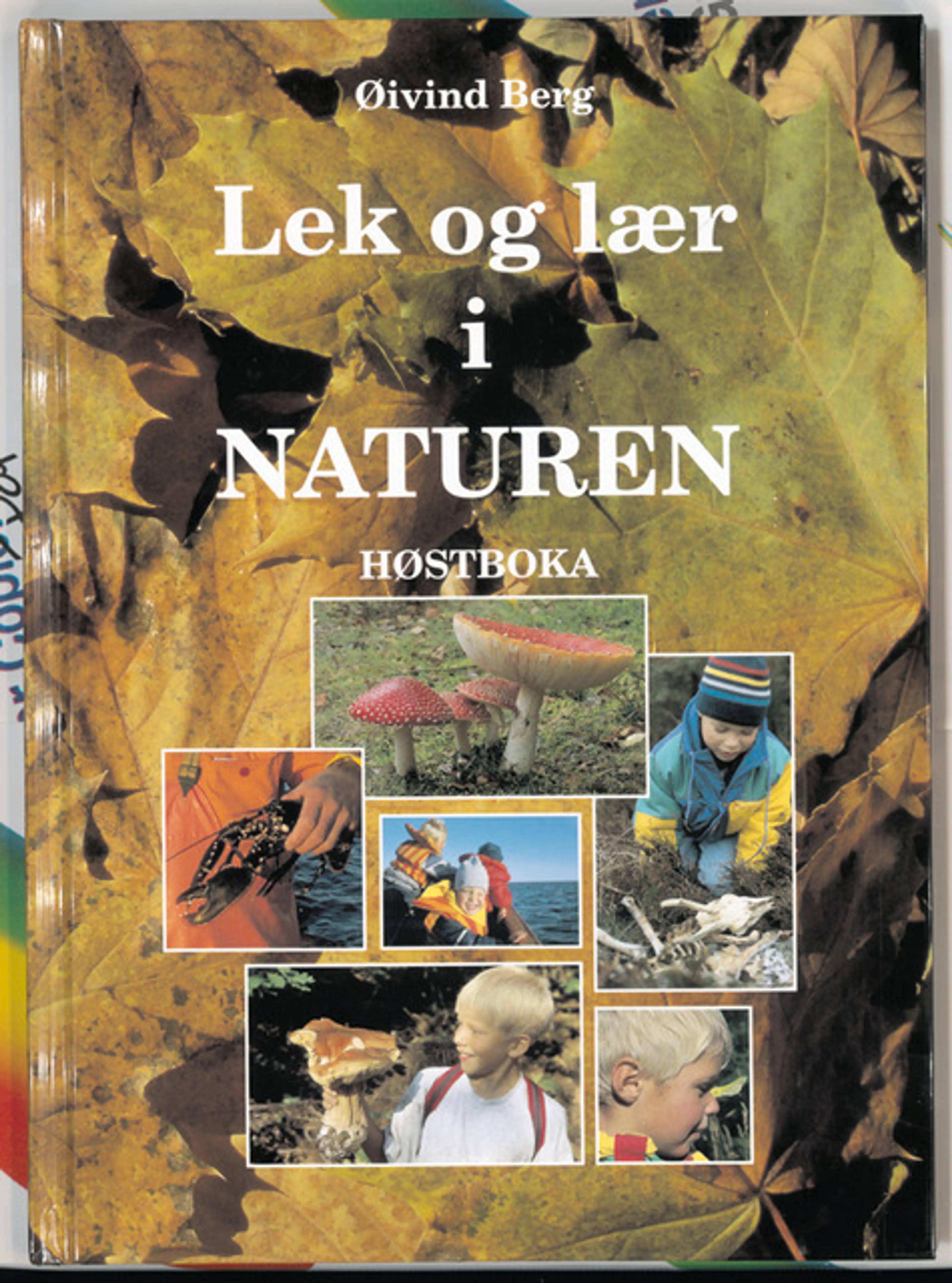 Omslag Lek og lær i naturen av Øivind Berg (Innbundet)