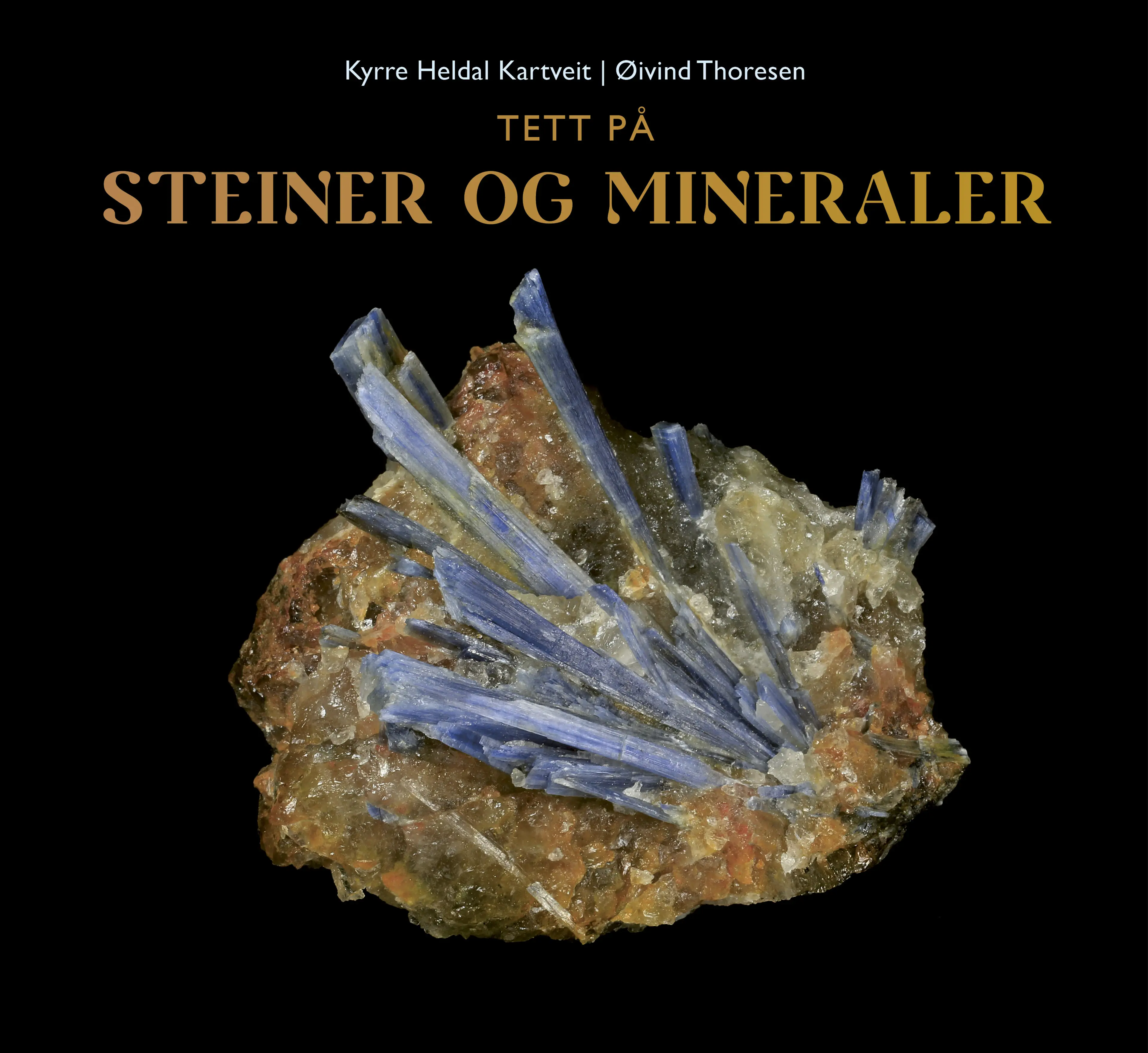 Omslag Tett på steiner og mineraler av Kyrre Heldal Kartveit (Innbundet)