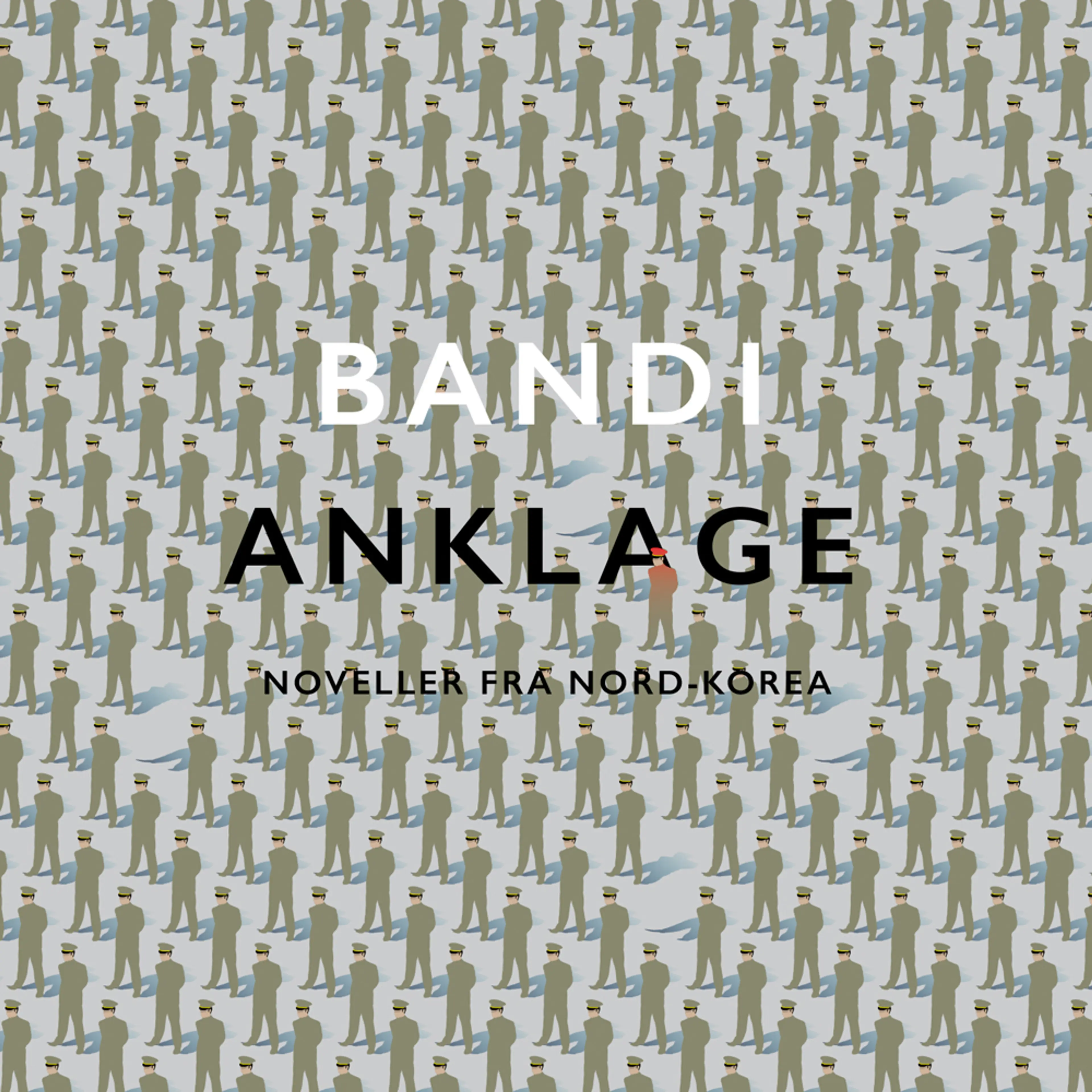 Omslag Anklage av Bandi (Lydbok)