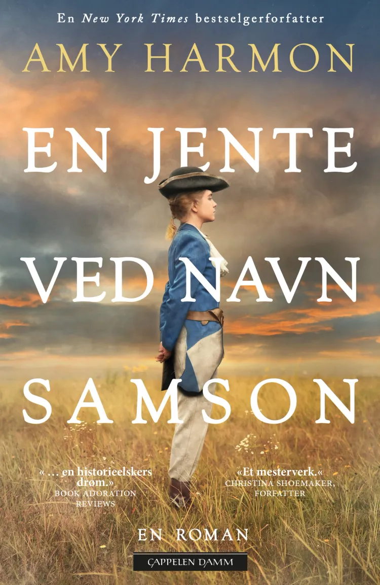 Omslag En jente ved navn Samson av Amy Harmon (Heftet)