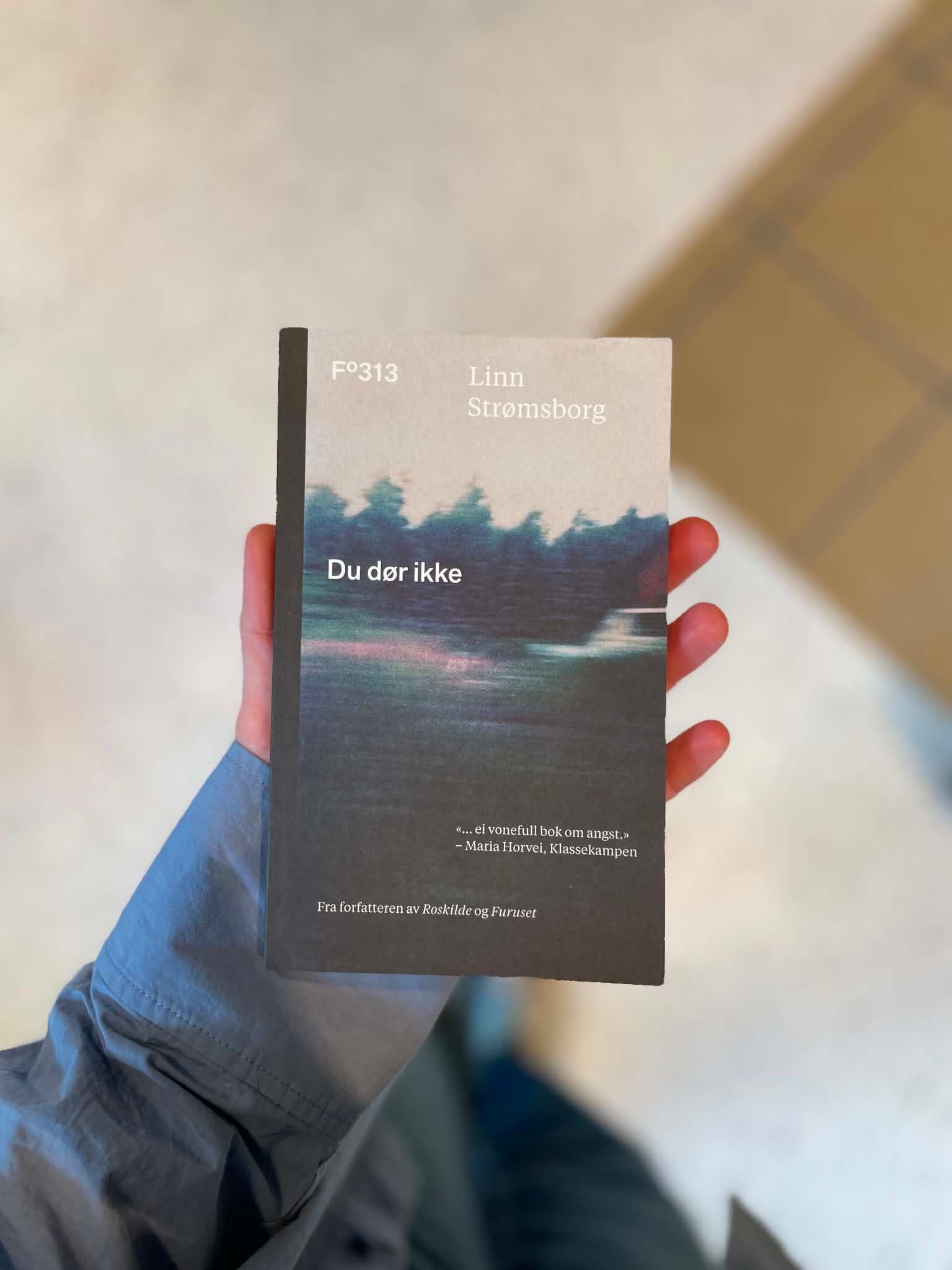 Du dør ikke av Linn Strømsborg