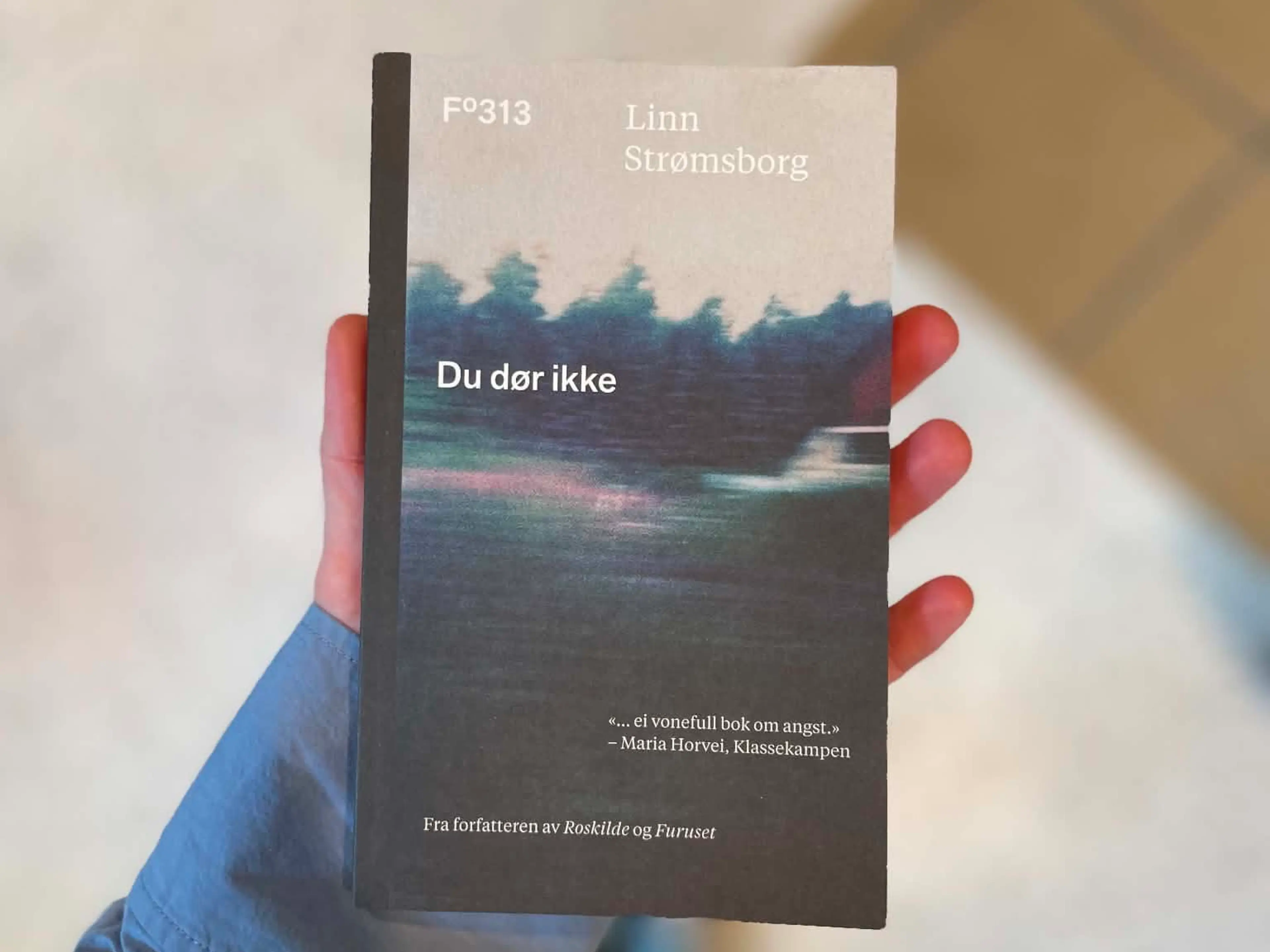 Du dør ikke av Linn Strømsborg