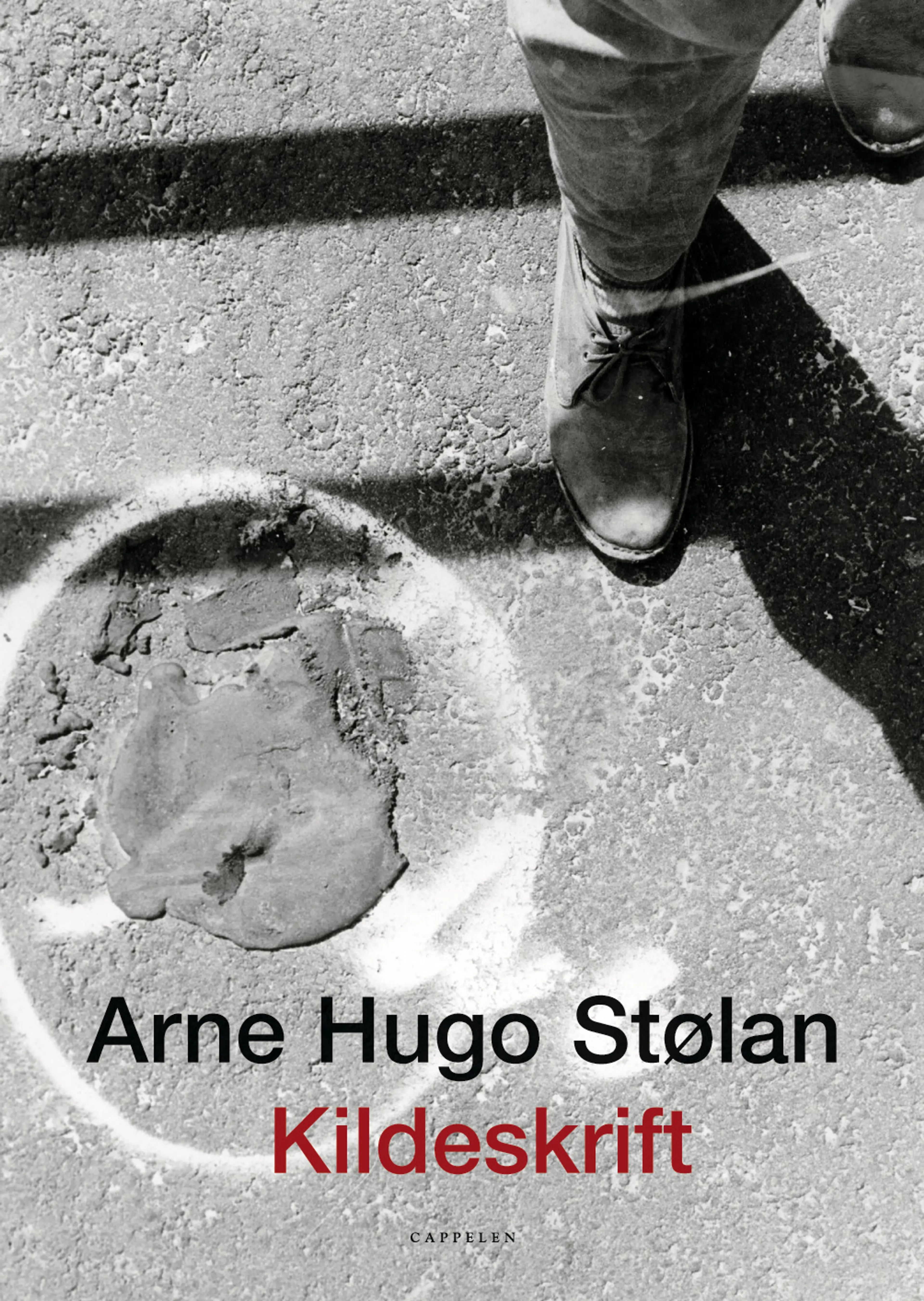 Omslag Kildeskrift av Arne Hugo Stølan (Heftet)