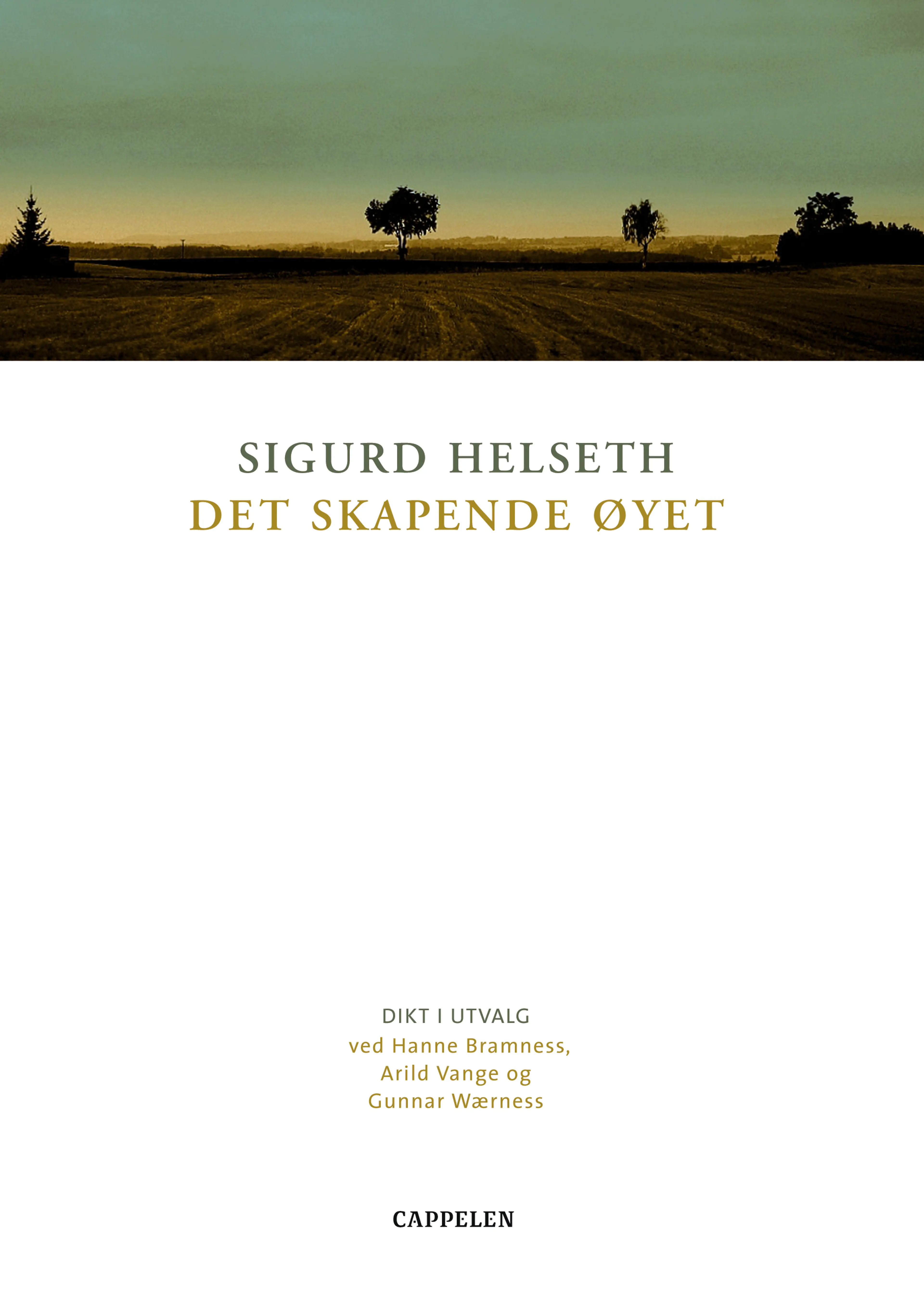 Omslag Det skapende øyet av Sigurd Helseth (Innbundet)