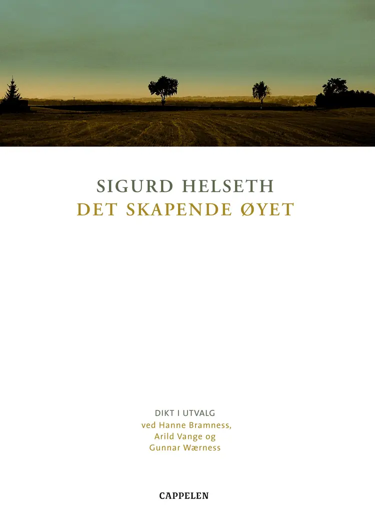 Omslag Det skapende øyet av Sigurd Helseth (Innbundet)