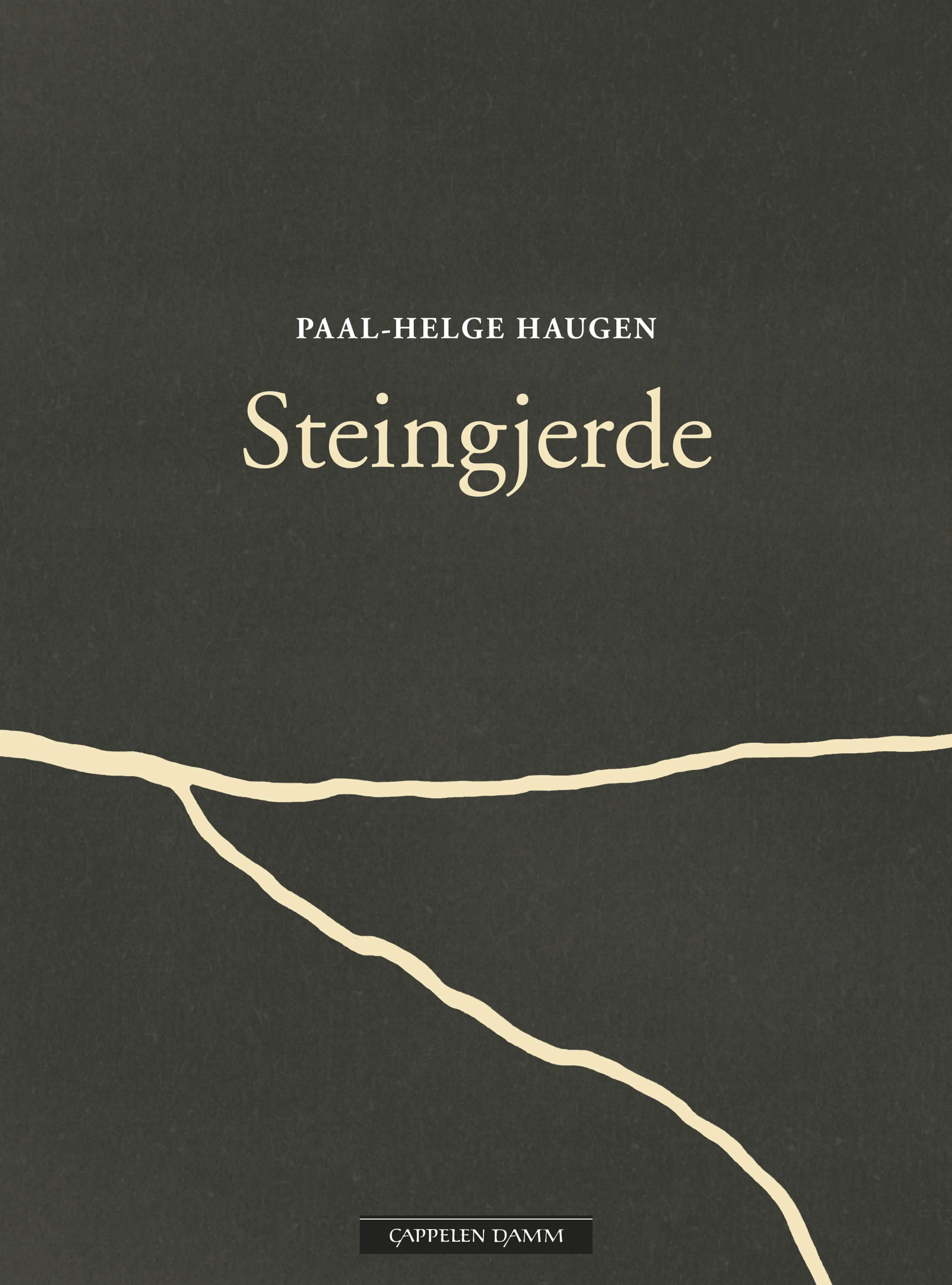 Omslag Steingjerde av Paal-Helge Haugen (Innbundet)